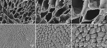 New Phosphorescent Probe Unmasks Microstructures in Water Ice
