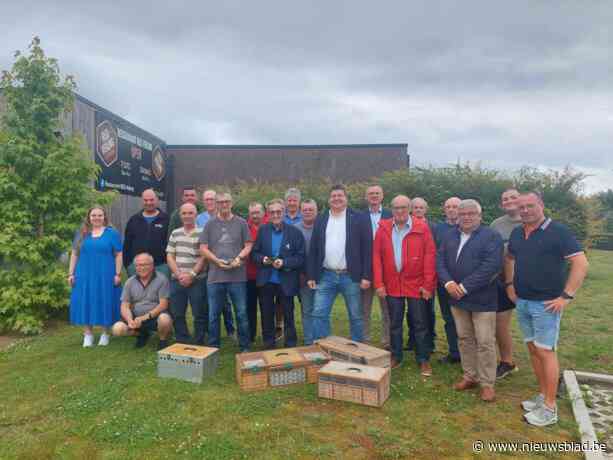 Winnende duif van Willy vliegt met 102 kilometer per uur terug naar huis