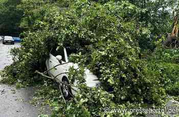 FW Norderstedt: Baum trifft PKW - Unwetter zieht auch an Norderstedt nicht spurlos vorbei