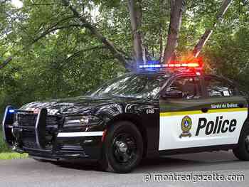 Man in his 50s dies after falling from a tree while cutting branches