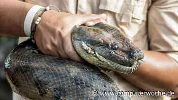 Anaconda Python erklärt