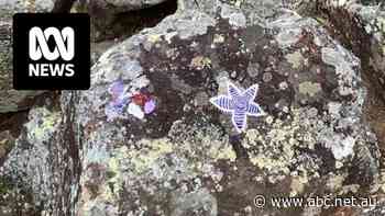 Ranger slams 'selfish' vandals after fresh graffiti found at popular Glasshouse Mountains lookout