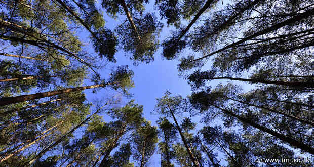 Acquisition sees idverde expand its green services portfolio