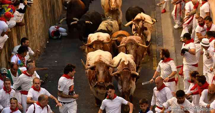 Verletzte Menschen und Tiere bei Stierhatz in Pamplona