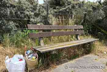 Actieplan sluikstorten: dertig controleurs en boetes tot 500 euro