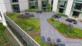 Inrichting dakterras Rijkswaterstaat Haarlem