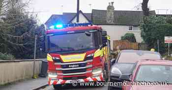 Westbourne: Ford believed to be deliberate, police say