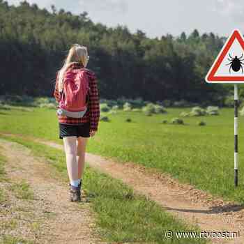 RIVM verwacht de komende weken meer tekenbeten