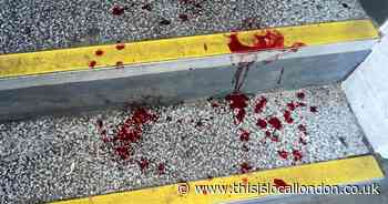 Barnfield Road Plumstead: Person taken to hospital after stabbing