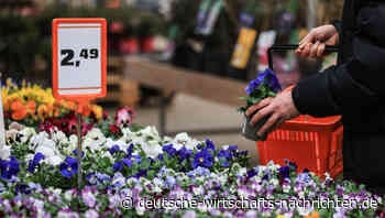 Rückgang in den Läden: Händler sehen weniger Betrieb