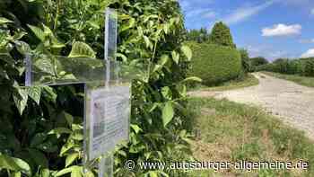 Kater in Pfuhl totgebissen: „Wie wenn ein Kind getötet wurde“