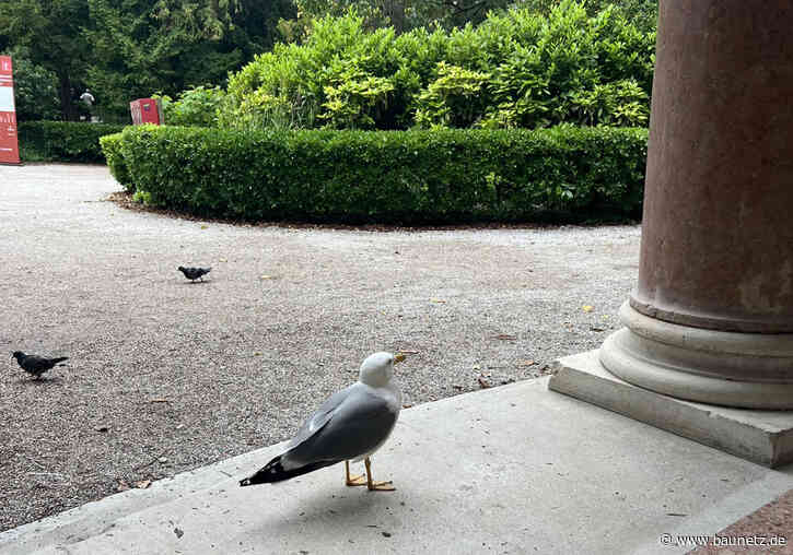 Nicht nur in Venedig wird es heiß - Team Stresstest kuratiert den Deutschen Pavillon 2025