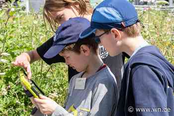Die Umwelt durch die Augen einer Maschine sehen