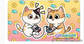 Catizen’s Tim Wong: 'We Are Here to Build a Business Ecosystem'