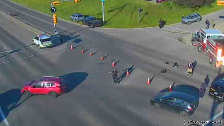 Driver in critical condition after crash