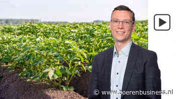 Prijsvorming aardappelen blijft verbazen