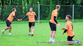 Faustball-Bundesliga: Für den TSV Calw platzt ein Traum
