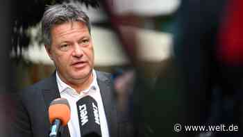 Habecks Geschenk an den Mercedes-Chef