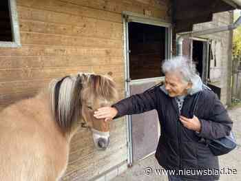 Ouderen met dementieprofiel gaan op paardentherapie: “Ze vertellen aan de paarden hun hele levensverhaal”