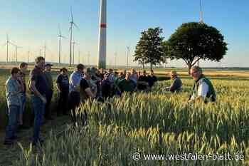 Landwirte informieren sich auf Versuchsfläche im Sintfeld