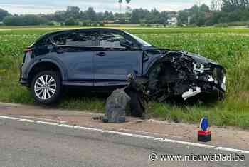 Twee chauffeurs lichtgewond na botsing in Bilzen