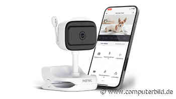 Pet Cam Feel: Überwachungskamera mit Temperatursensor für Haustiere