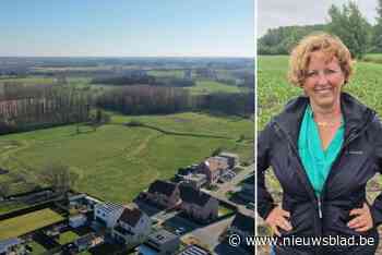 Omgevingsvergunning voor Oostmolen is opnieuw vernietigd: “Het stond in de sterren geschreven”