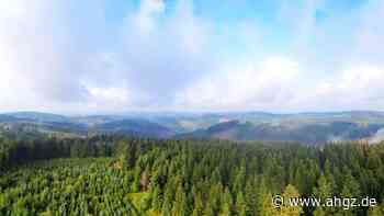 Nordrhein-Westfalen: Zuversicht für die Sommerferien