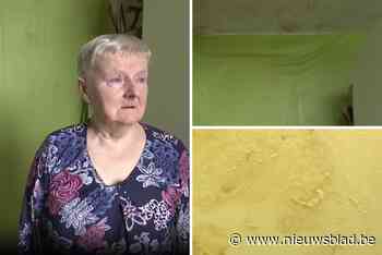 Bewoners klagen erbarmelijke staat van sociale appartementen in Deurne aan: “Het stinkt hier, de plinten zijn helemaal rot”