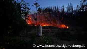 Waldbrand in Bad Sachsa: „Wir haben gearbeitet bis zur Kotzgrenze“