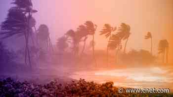 Hurricane Checklist: 7 Steps You Need to Take Before a Storm Hits