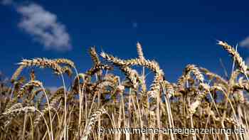 Bio-Anbaufläche 2023 etwas gewachsen