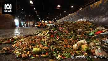 Thai app helps reduce food waste and lower emissions