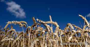 Bio-Anbaufläche 2023 etwas gewachsen