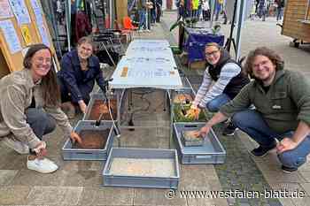 Den Hitzeschutz im Blick behalten