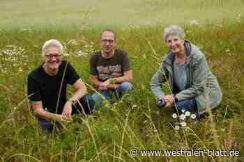 Bunte Ackerränder in Warburg schaffen Artenvielfalt