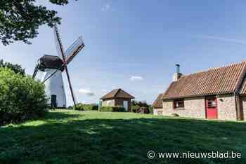 Molen van Ezaart vangt te weinig wind, regels op komst om bebouwing rondom te beperken: “Wie er al woont, hoeft zich geen zorgen te maken”