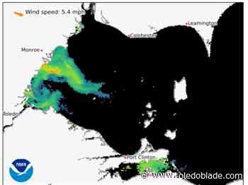 Western Lake Erie algal bloom has already grown to 160 square miles, NOAA says