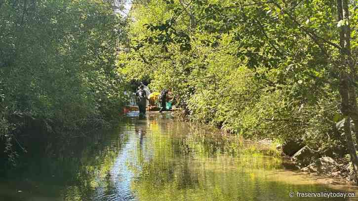 More than one thousand fish killed following chemical spill in Abbotsford