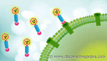 Radioactive Drugs Strike Cancer With Precision