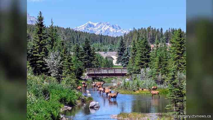 Tuesday to feel like 34, or hotter if you're at Stampede Park