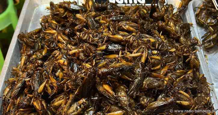 Singapur lässt 16 Insektenarten als Lebensmittel zu