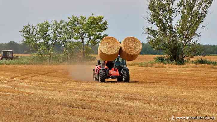 Weil er die Straße blockierte: Landwirt (71) will Nachbarn mit Frontlader zerquetschen – Haftstrafe