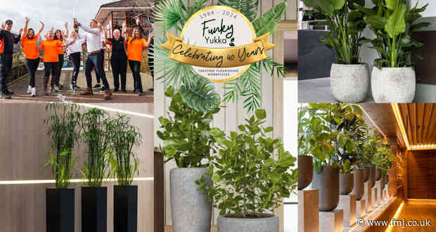 Funky Yukka turns 40: Growing greener workspaces for a sustainable future!