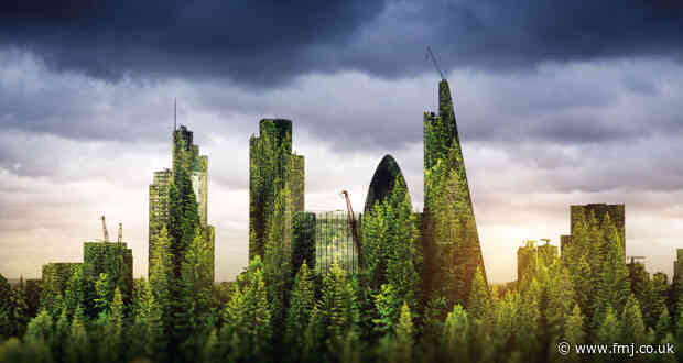 Going Green: What more can be done to stop greenwashing undermining your sustainability goals?