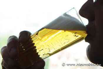 Bezopen charmezanger krijgt vier maanden cel nadat hij partner slaat