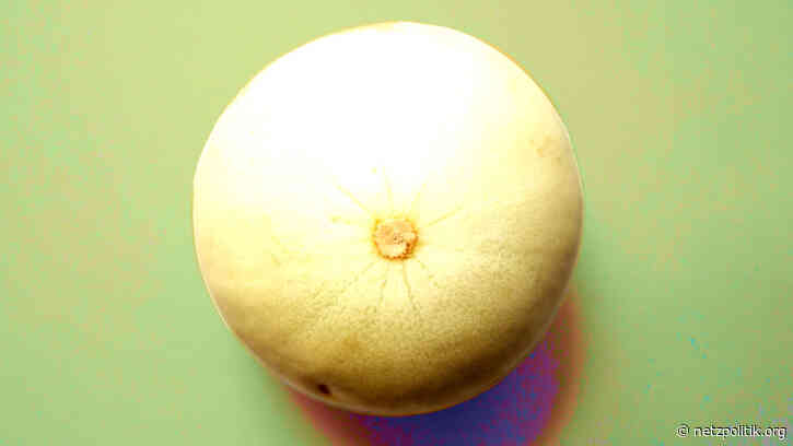 Nippelverbot: Facebook-Sperre von Filmwerkstatt Düsseldorf war rechtswidrig