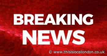 Euston: Baby found dead with murder suspect arrested