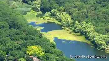 Public health warning after possible blue-green algae spotted in Innisfil