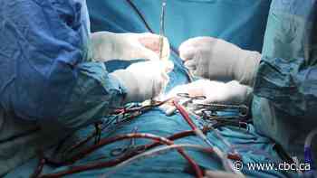 Alberta doctors raise alarm about surgical and trauma diversions